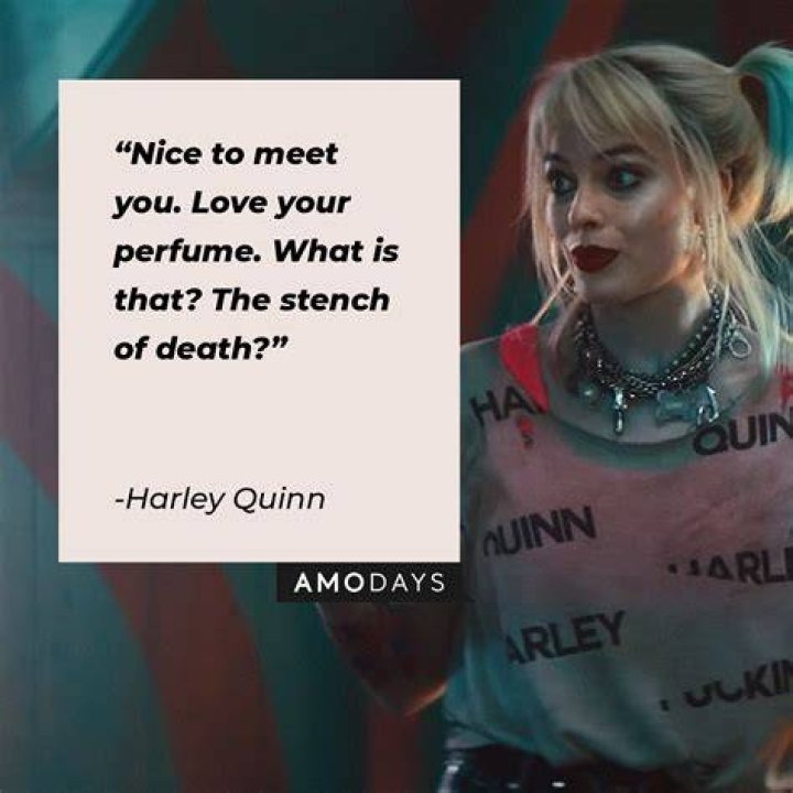 15 best harley quinn quotes images on Pinterest Suide squad, Harley