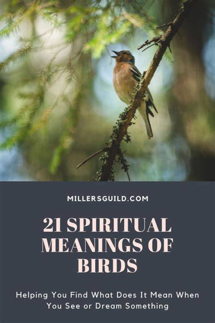 21 Spiritual Meanings of Birds