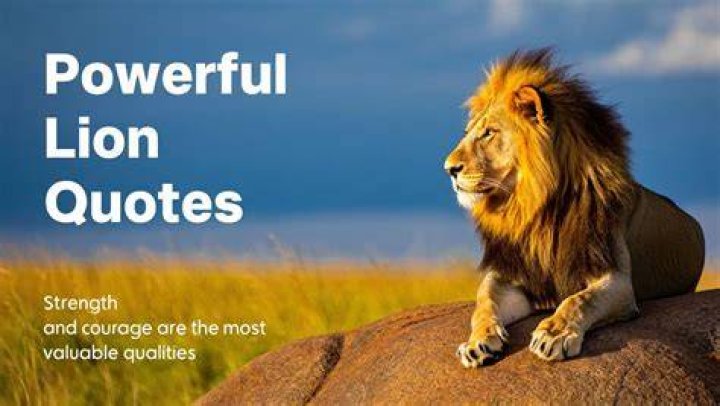 25 Powerful Lion Quotes That Will Inspire You