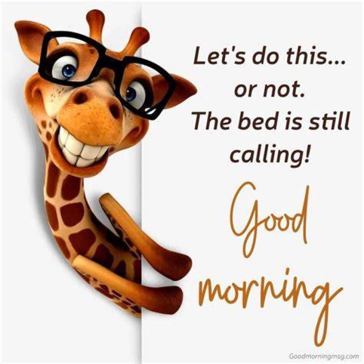50 Funny Good Morning Wishes