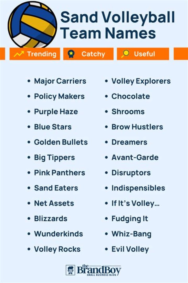 500 Cool Sand Volleyball Team Names Ideas (Generator) BrandBoy