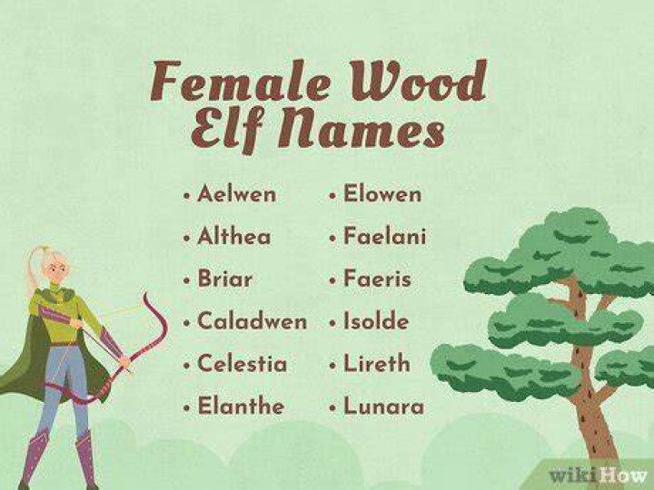 500+ Wood Elf Names & Generator Imagine Forest