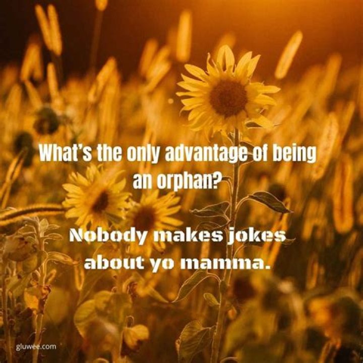 60+ best orphan jokes for people who enjoy really dark humour Legit.ng