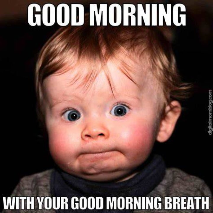 77 Morning Humor Memes and Quotes for That Perfect Early PickMeUp