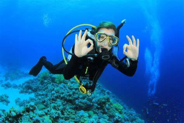 A Deeper Dive Into Her Life And Career