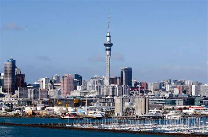 ALEXANDER MAKANI Auckland, Auckland, New Zealand Professional