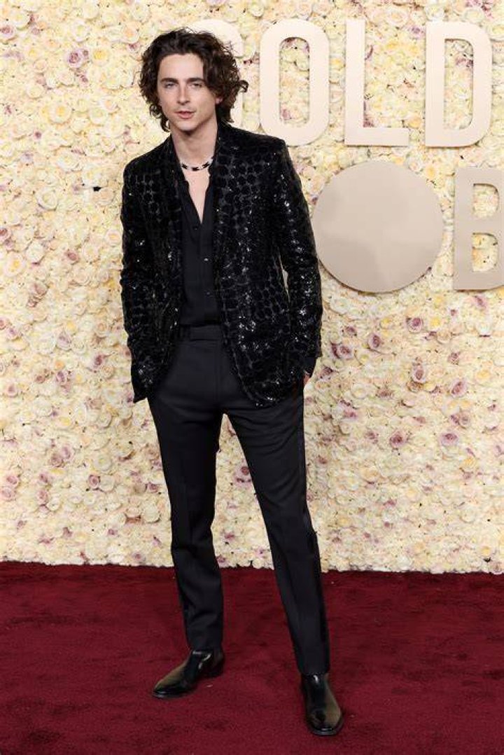 All About Timothée Chalamet's Parents, Marc Chalamet and Nicole Flender