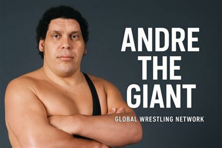 Andre the Giant's Daughter Never Really Knew Her Legendary Dad