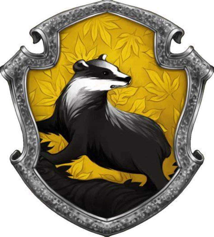 Animagus Hogwarts Life Wiki Fandom