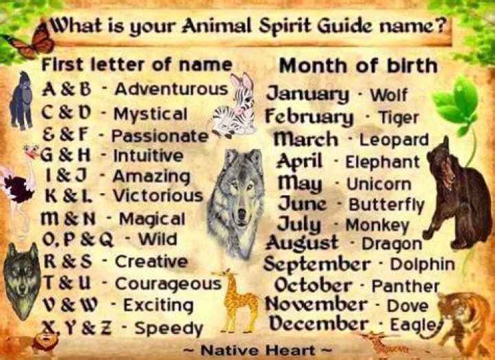 ANIMAL SPIRIT GUIDE NAME MYSTICAL DRAGON WHAT'S YOUR ______NAME