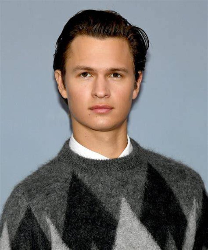 Ansel Elgort Accused Of Theft: Allegations Surface