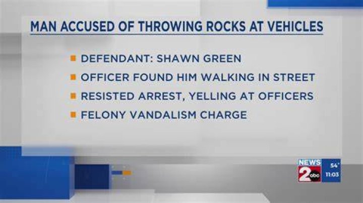 Arrest for Throwing Rocks in Colorado Arrest of Zachary Kwak, 3