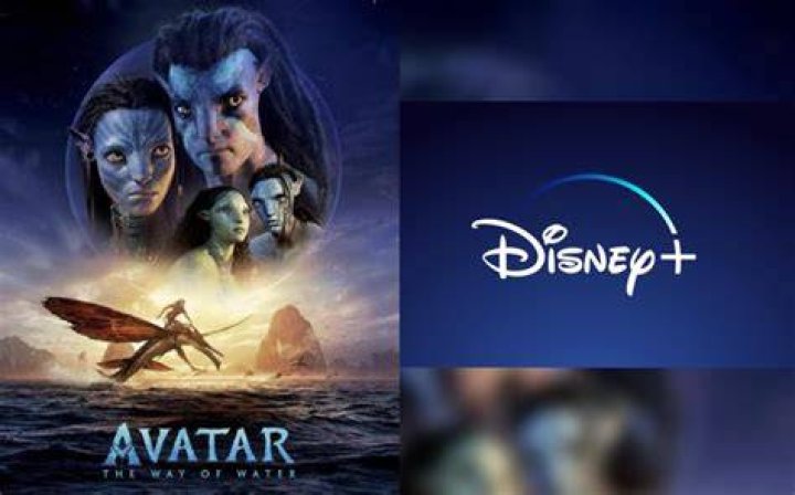 Avatar Disney Plus llega a Espa&ntilde;a y estas son las pel&iacute;culas...