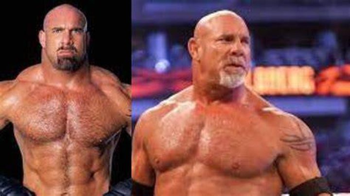 Bill Goldberg Net Worth famousfaceshub