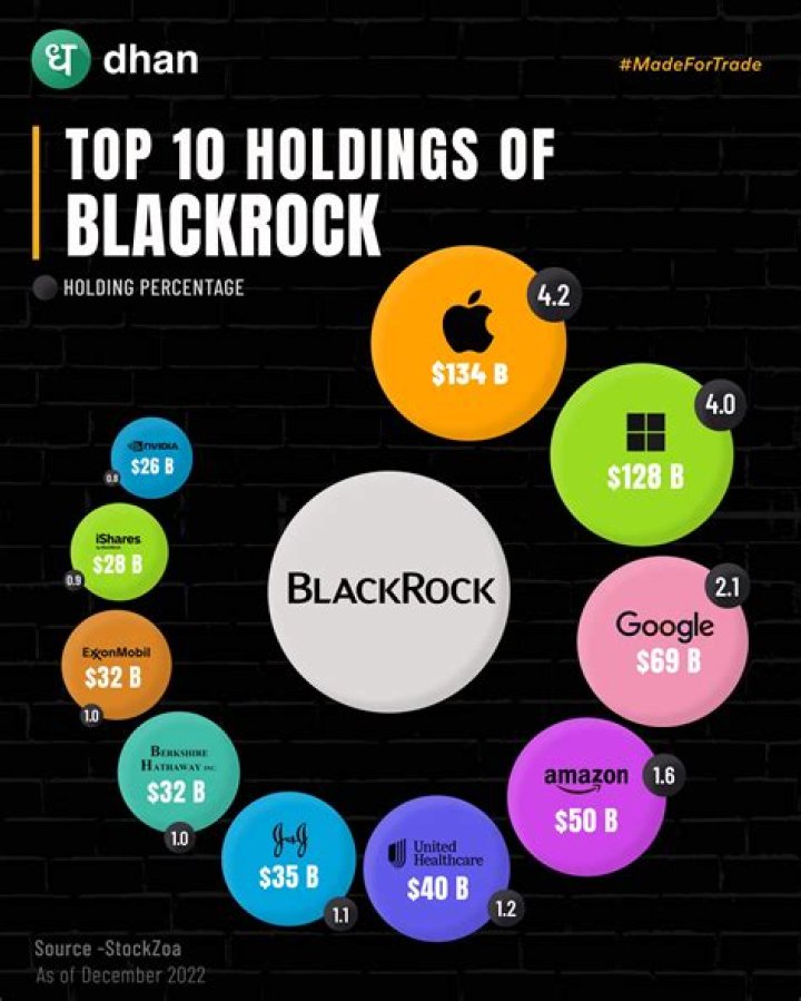 BlackRock The Most Powerful Company in the World? Truefyi