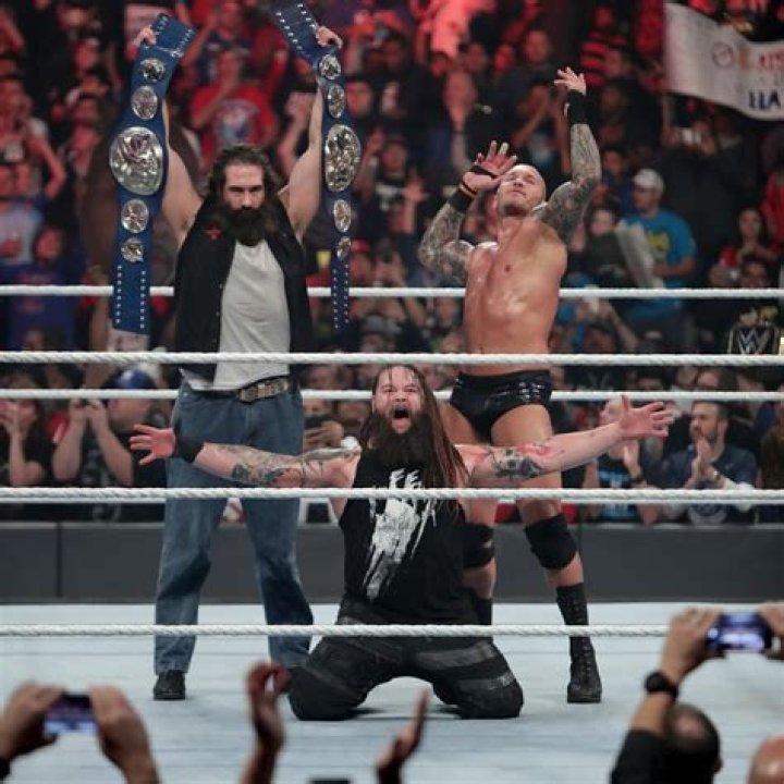 Bray Wyatt WWE SmackDown Tag Team Championship WWE Championship WWE Raw