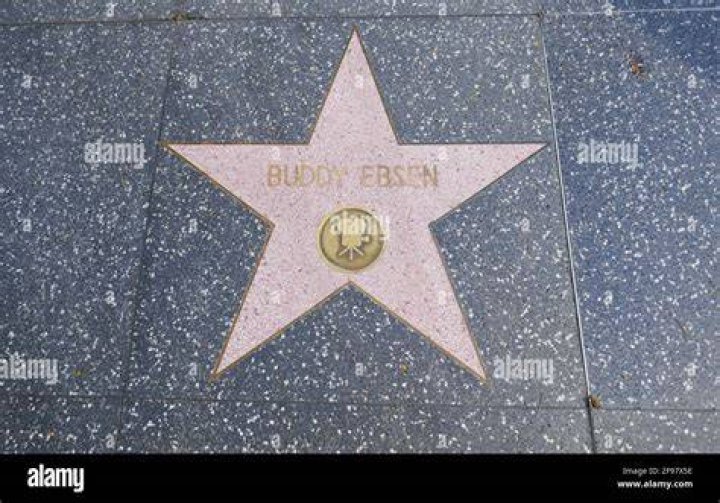 Buddy Ebsen Walk of Fame