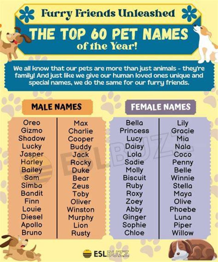 Chances Are Pet Names this Valentine&rsquo;s Day Dectech