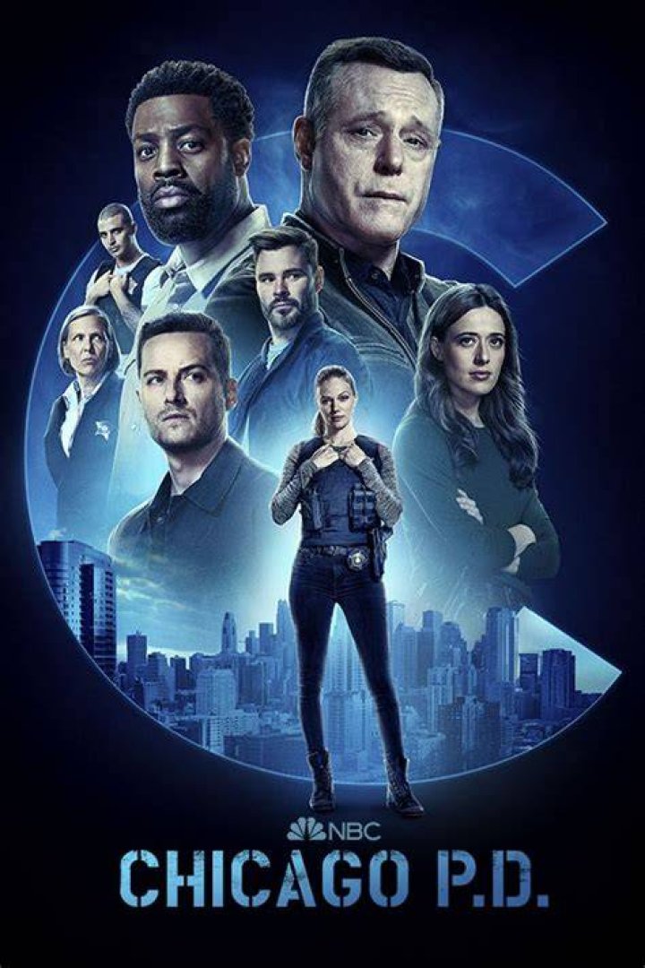 Chicago PD cast Breaking down who plays every key character (2023)