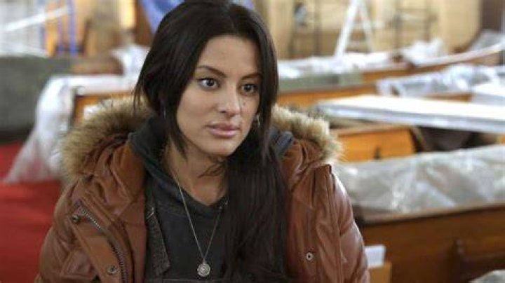 Chicago P.D. Who Played Anna And What Happened to Her TrendRadars