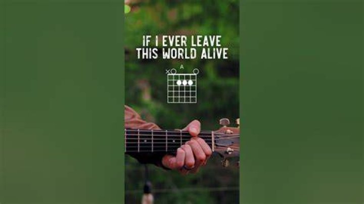 Chord If I Ever Leave This World Alive Flogging Molly tab, song