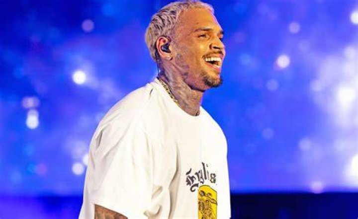 Chris Brown's Monumental Net Worth Revealed In 2023
