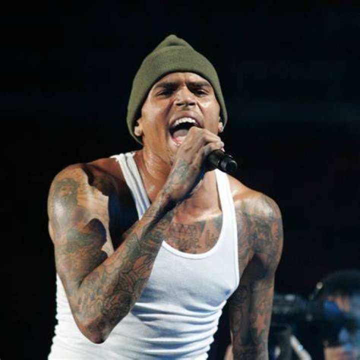 Chris Brown Brutally Clap Back At Fan Comment About His Baby Mothers
