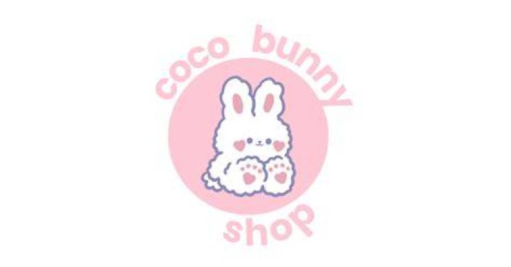 Coco the Brown Bunny