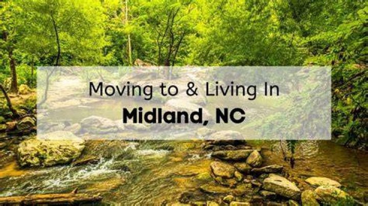 Comprehensive Guide To Ava Doyle Midland, NC