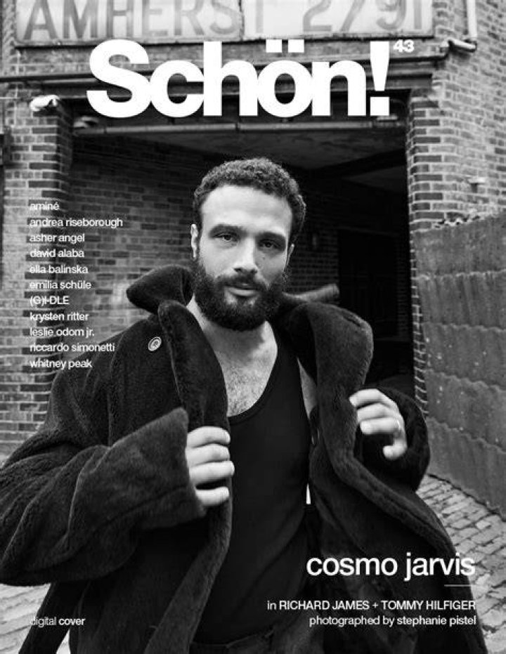 Cosmo Jarvis Spotify