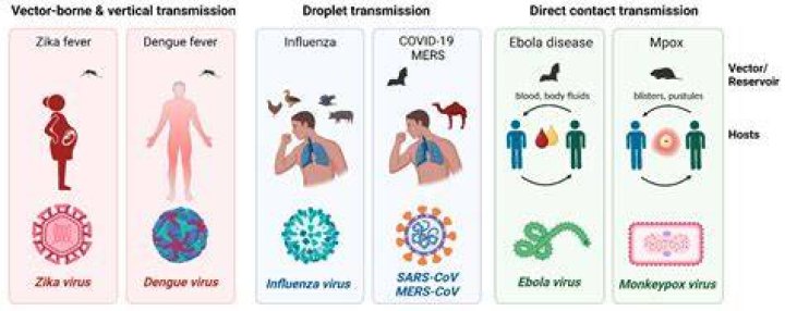 COVID19 and Emerging Viral Diseases the journey from animals to