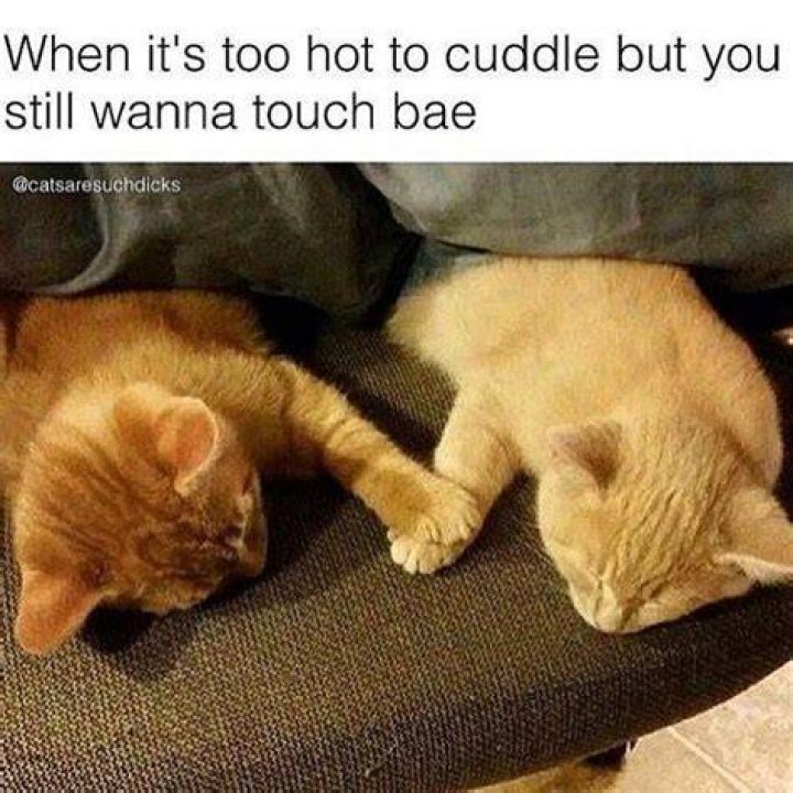 Cuddle Memes For Him memestund