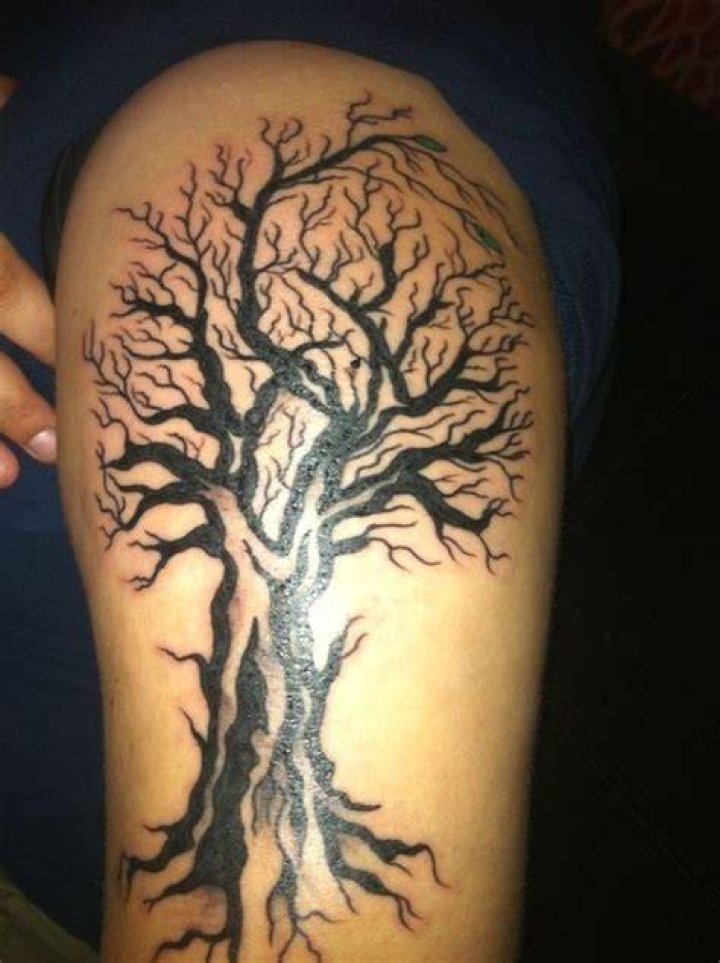 Dead oak tree Tattoos Pinterest Trees and Oak tree