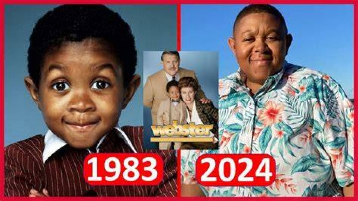Discover The Notable Webster TV Actor: Uncovering Their Legacy