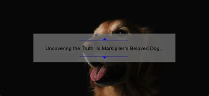 Discover The Truth: Is The Beloved Dog From "Mike And Molly" Still Alive?