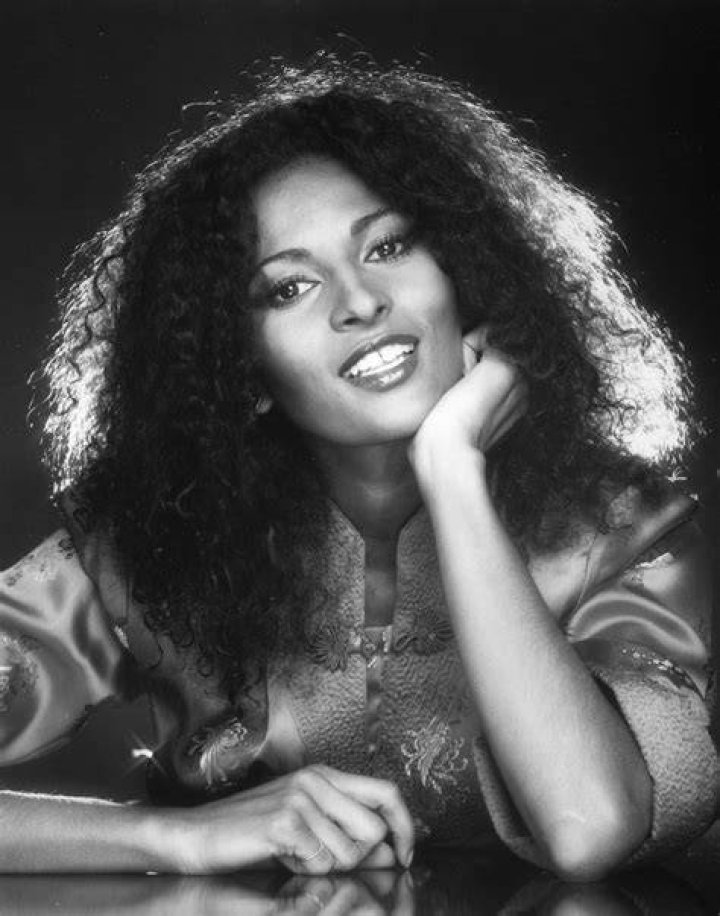 Discover The Unsung Story Behind "Who Is Pam Grier's Brother?"