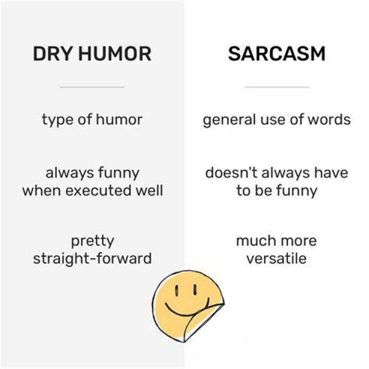 Dry Humor &mdash; All You Need to Know About It Linguaholic Blog