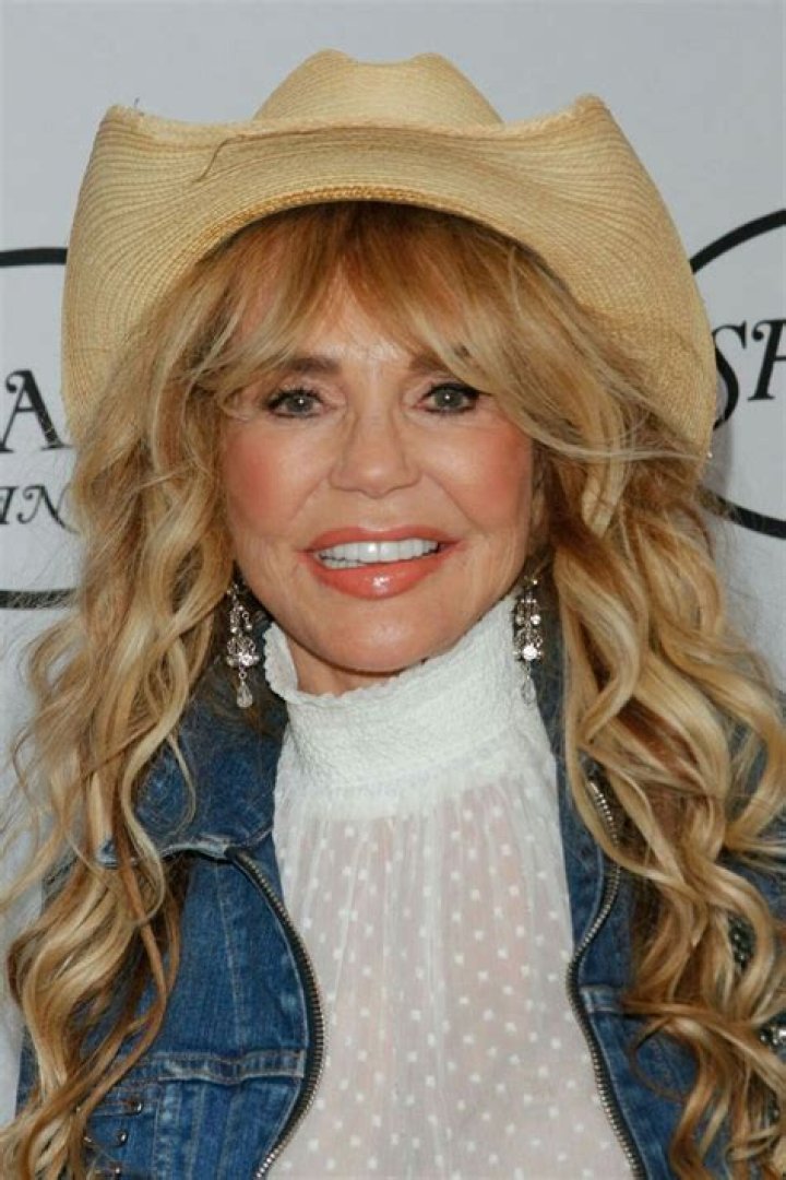 Dyan Cannon 79 Dyan cannon, Ageless beauty, Cannon