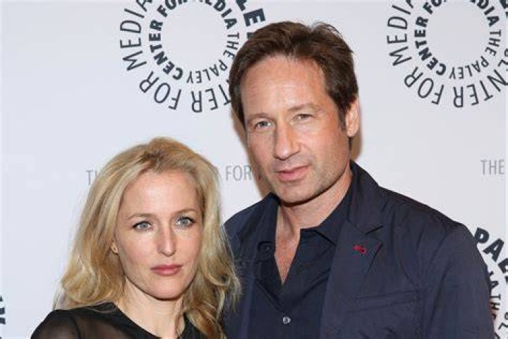 Exploring The Duchovny Anderson Relationship