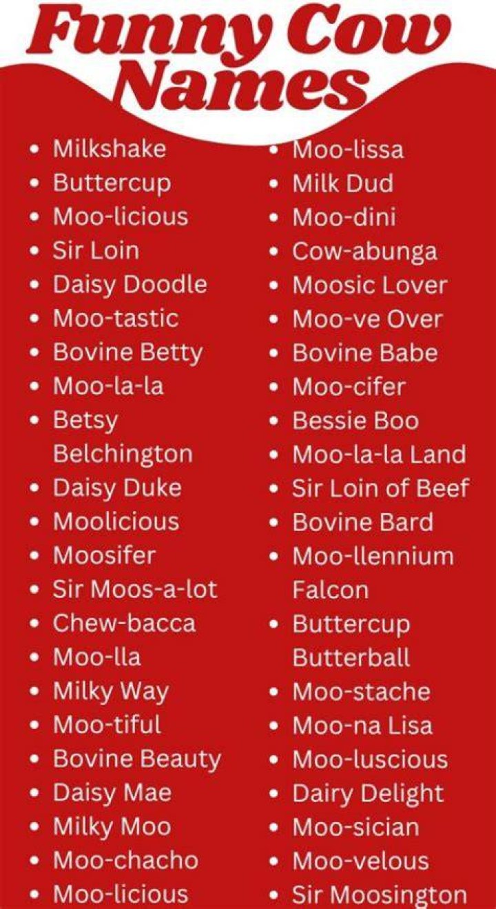 Funny Cow Names