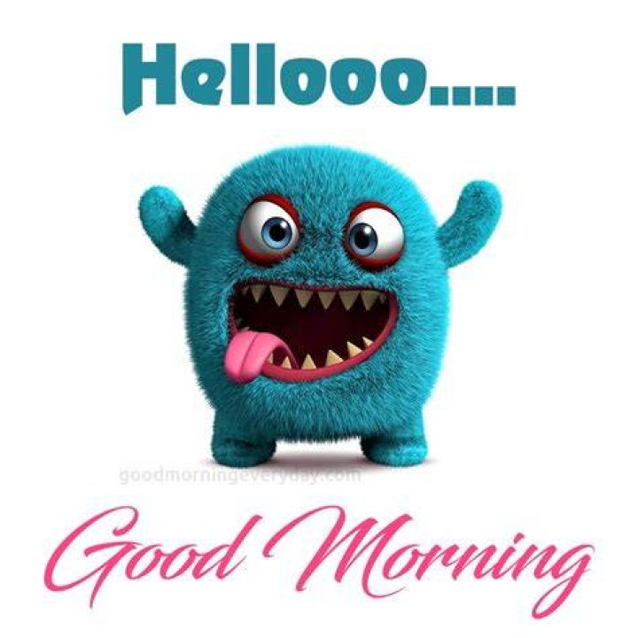 Funny images and Good Morning Funny Images 2021 Good morning funny