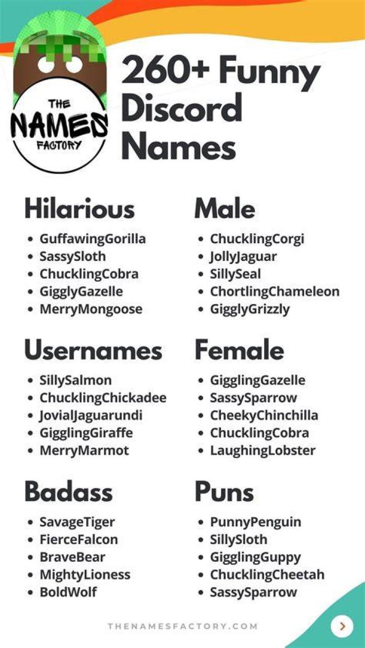 Funny Meme Names For Discord Pic Memes