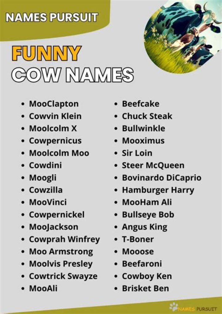Funny Names For A Cow Cows funny, Funny names, Funny cow names