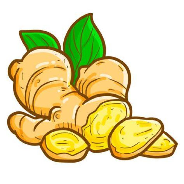 ginger clip art 10 free Cliparts Download images on Clipground 2024