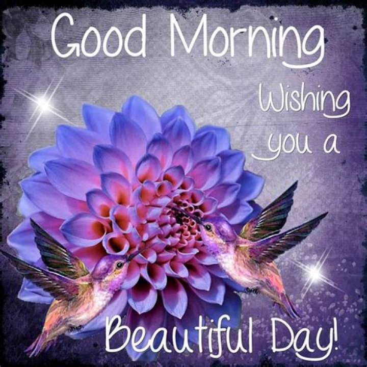 Good Morning Wishing You A Beautiful Day Quote Pictures, Photos, and
