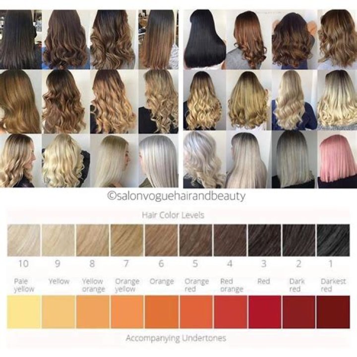 HAIR COLOR CHART