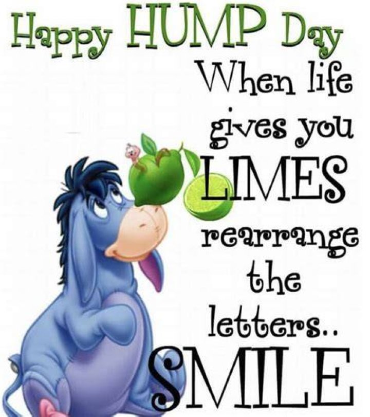 Happy Hump Day Quotes And Sayings. QuotesGram