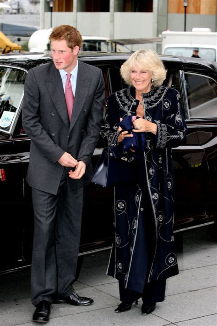 Harry Harry Camilla leaked private talks to media Times of India