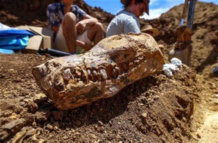 Harry Smith's Wife Discoveries And Insights
