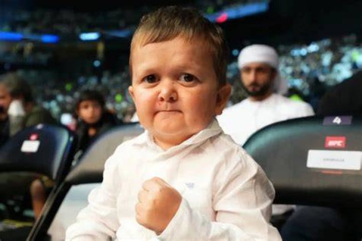Hasbullah Magomedov Age Hasbullah Magomedov Age, Wiki, Height, Net